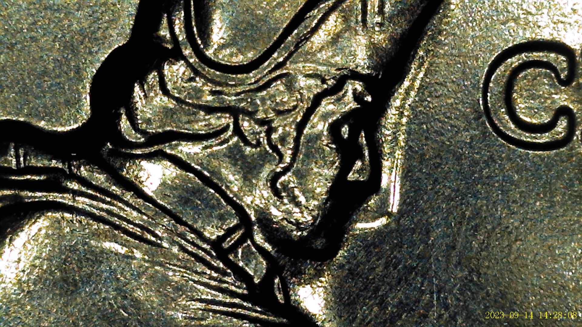 2021-P-Crossing-The-Delaware-Quarter-Side-Burn-Extension-Or-PMD