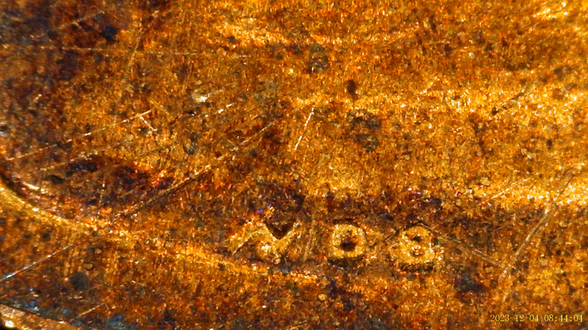 2018-Lincoln-Shield-Penny-With-Unusual-VDB-On-Obverse