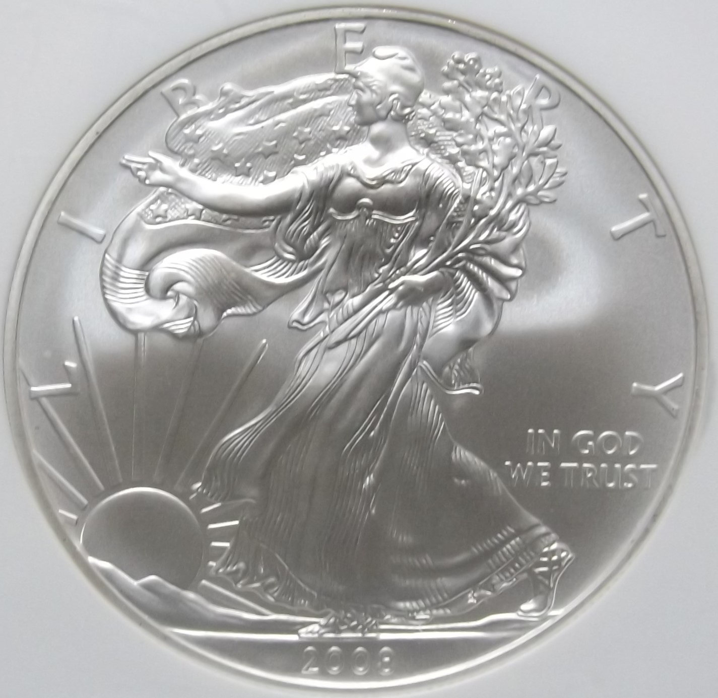 2008-W-REV-Of-07-Burnished-Silver-Eagle