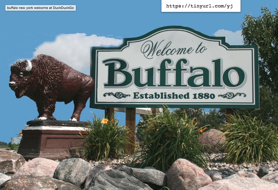 Ty2020B-Buffalo-Nickel-AU-/-MS-Set....in-Progress-W/Updates