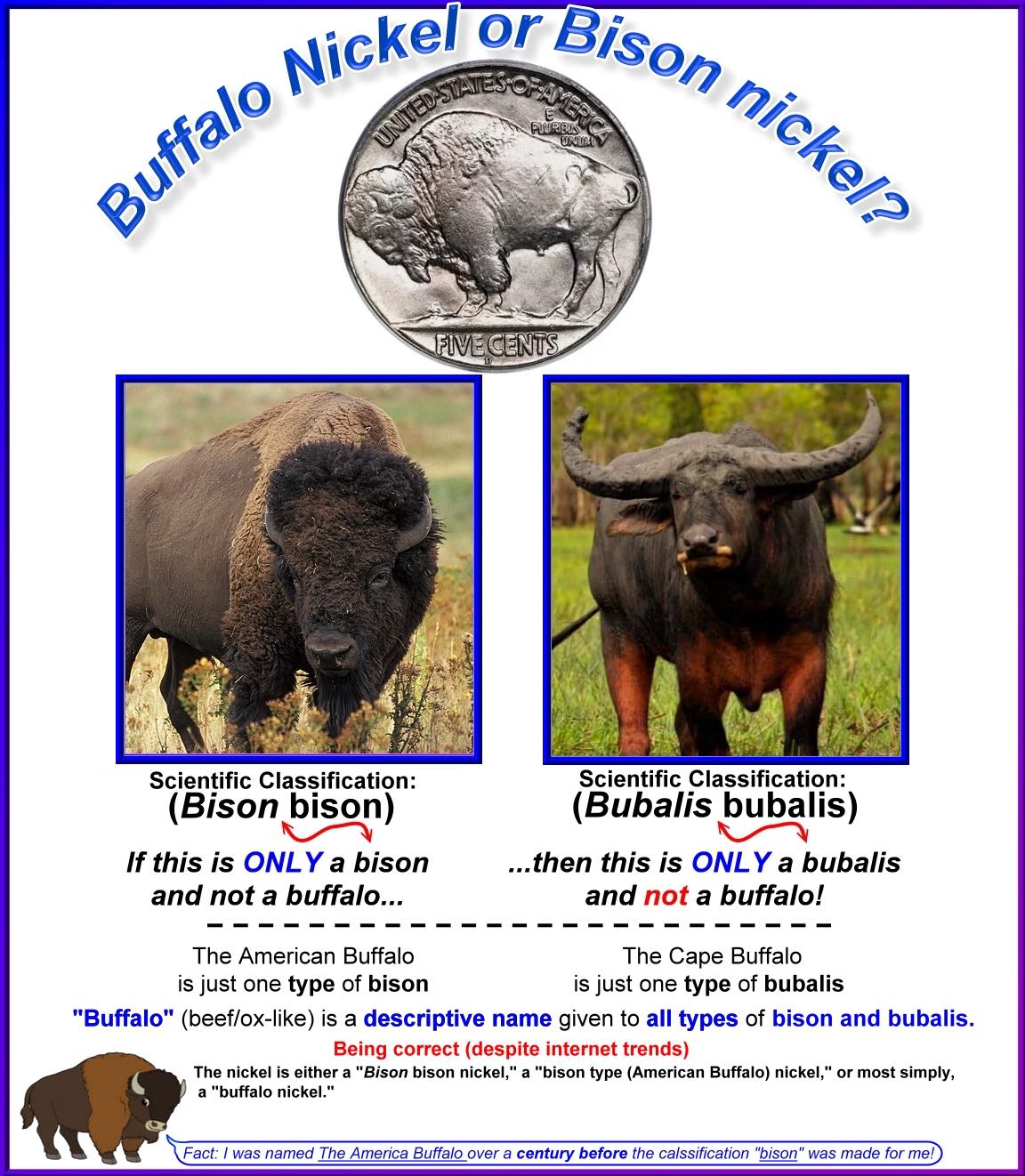 I-Really-Like-Coins-With-A-Bison!