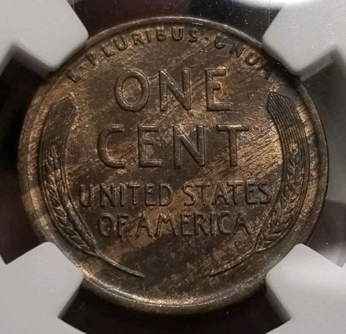 Continuing-List-To-Show-Everyones-Latest-Acquisitions