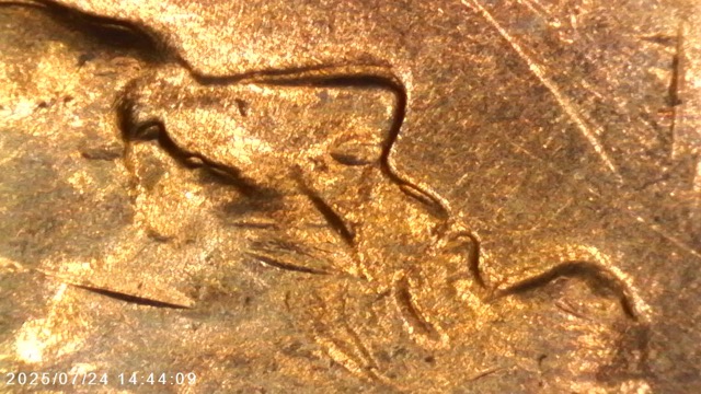 1969-S-Penny-Doubling---Maybe-Tripling?