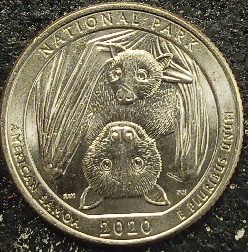 2020-D-Quarter-Possible-New-Strike-Thru?