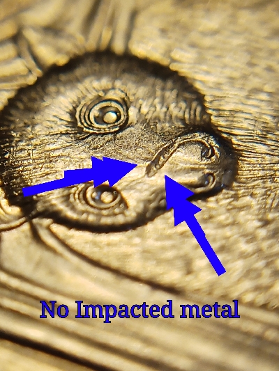 2020-D-Quarter-Possible-New-Strike-Thru?