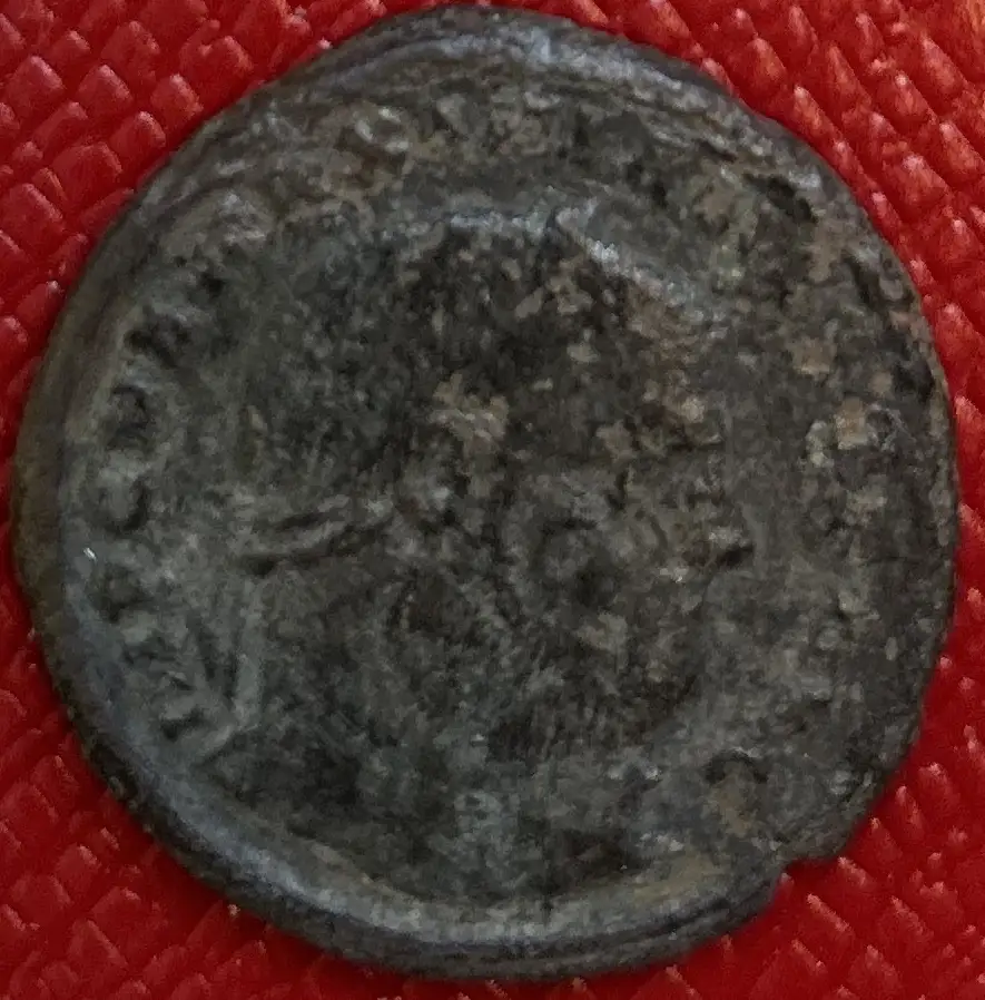 I-Think-I-Have-This-One-Identified,-So-I-Think