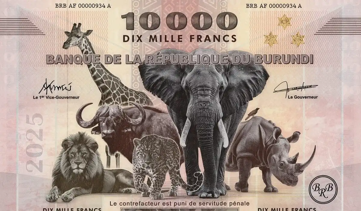 Got-Any-Big-Notes?-Like-Big-In-Size-Not-As-In-Denomination