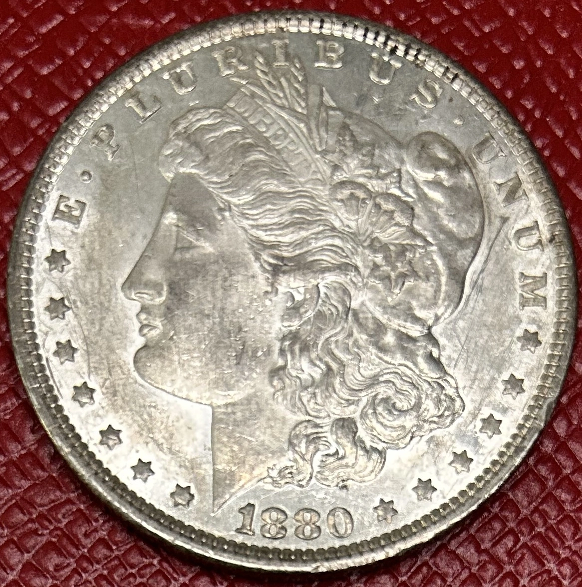New-Littleton-Coin-Morgan-Dollars-For-Your-Viewing-Pleasure-And-Evaluation-: