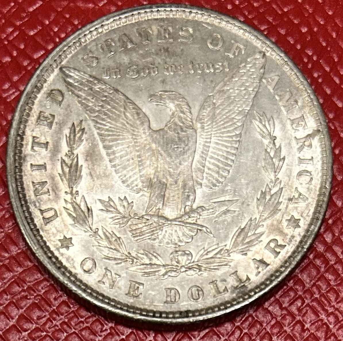 New-Littleton-Coin-Morgan-Dollars-For-Your-Viewing-Pleasure-And-Evaluation-: