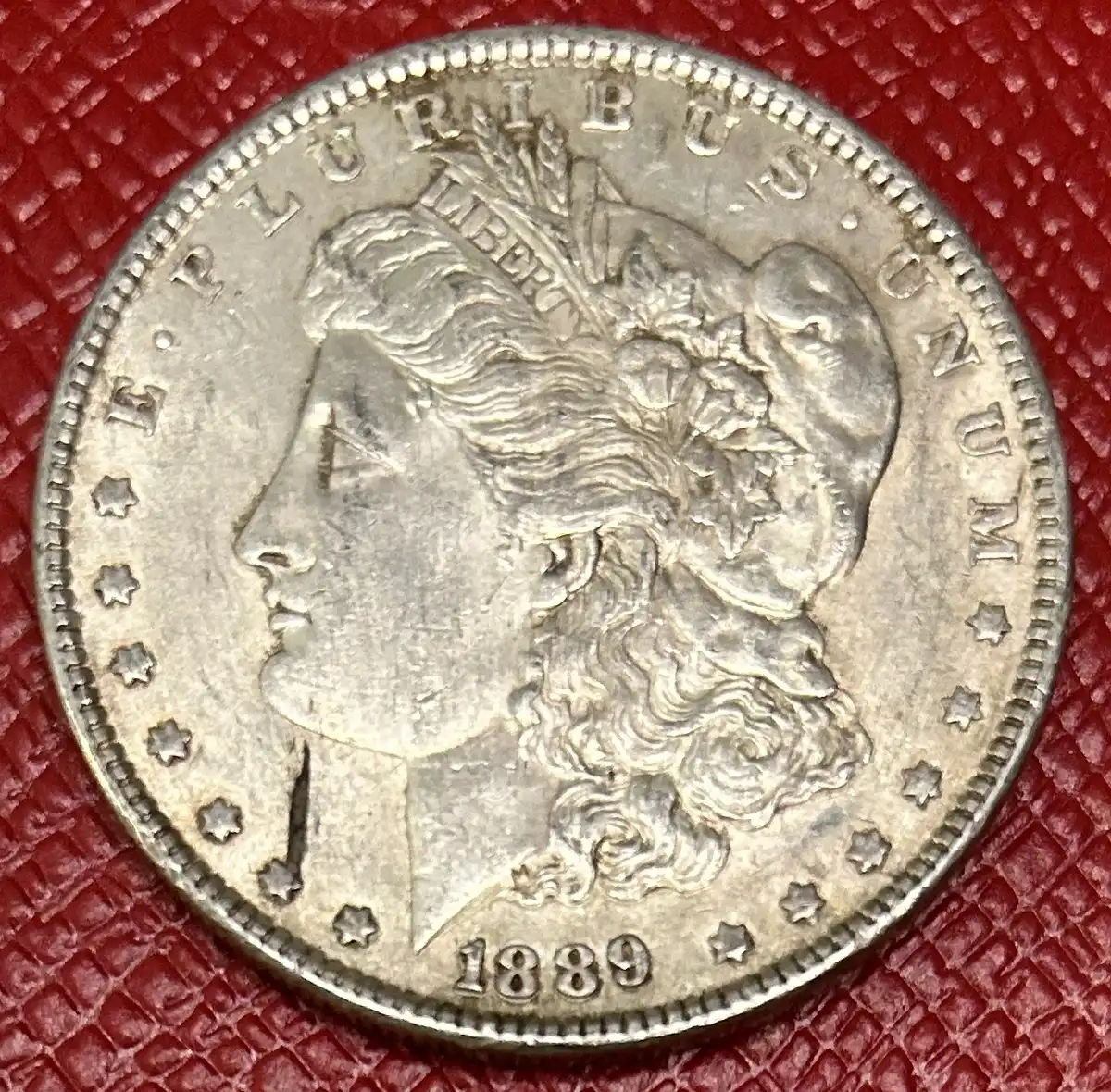 New-Littleton-Coin-Morgan-Dollars-For-Your-Viewing-Pleasure-And-Evaluation-: