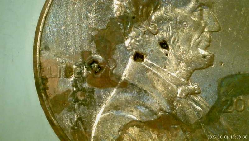 2009-Lincoln-Cent-Professional-Life