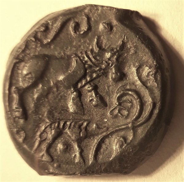 My-First-Animal-On-A-Coin.