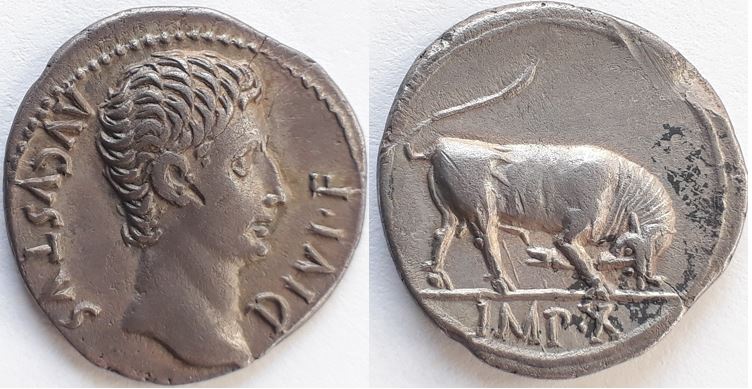 My-First-Animal-On-A-Coin.