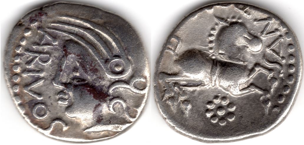 My-First-Animal-On-A-Coin.