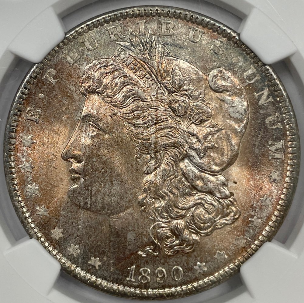1890-Morgan-Dollar---Toned-Obverse---You-Vs-NGC