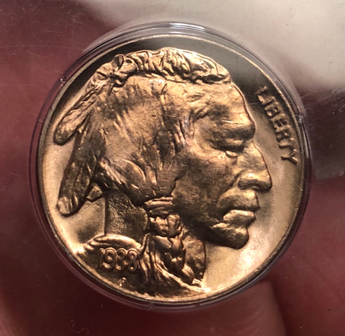 1938-D-Buffalo-Nickel-[you-Vs.-PCGS]