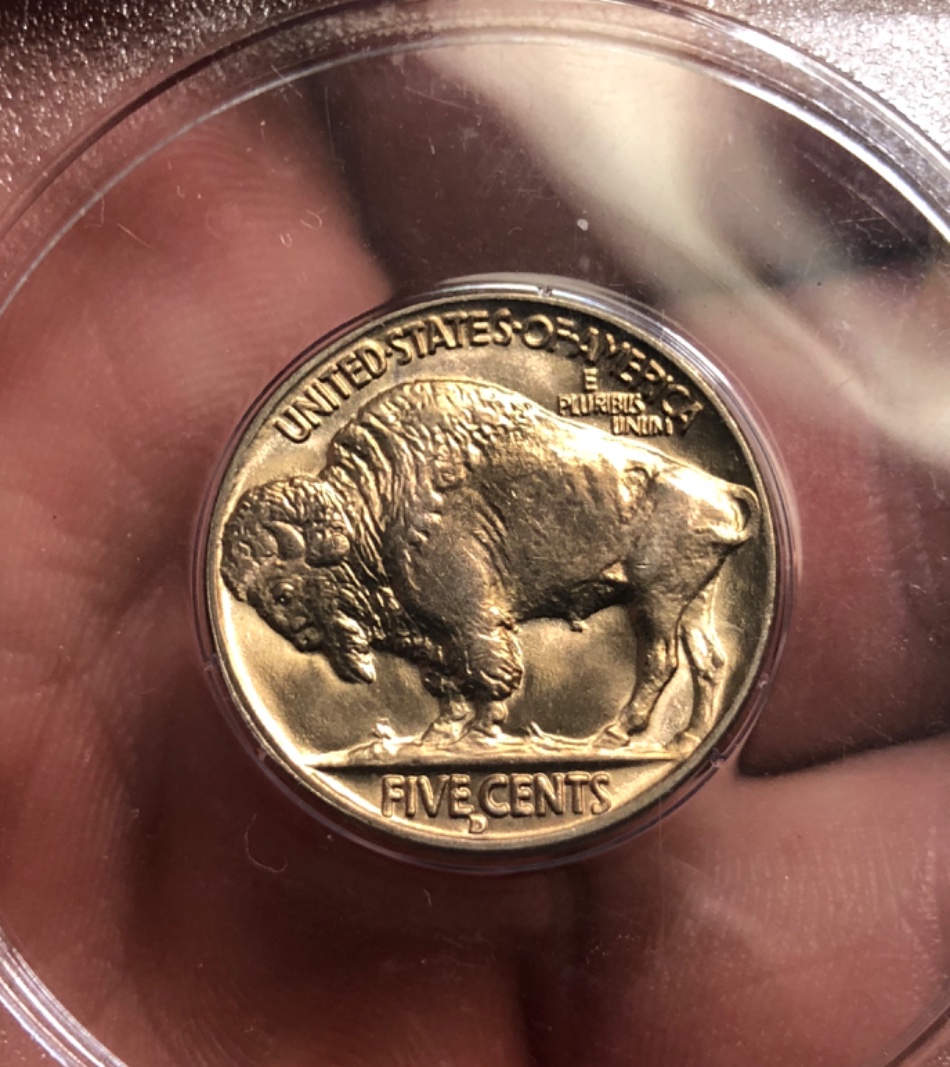 1938-D-Buffalo-Nickel-[you-Vs.-PCGS]