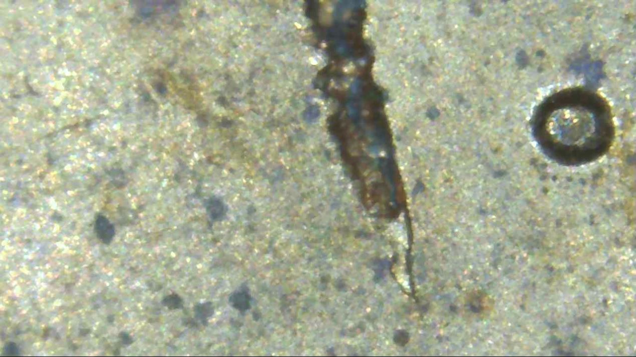 1996-D-Penny--Strange-Damage