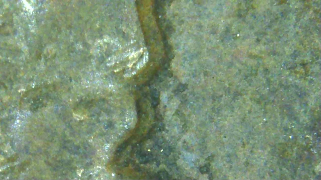 1960-D-LMC-WDDO-008-Or-MD?