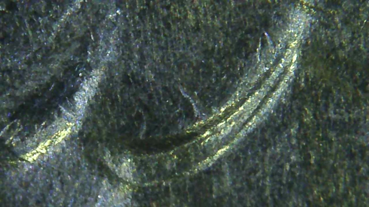 2019-W-Quarter-Double-Ear?