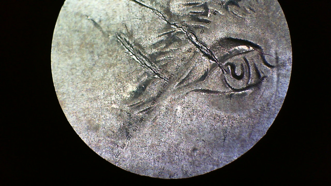 2009-MS-SP-John-Tyler-Dollar-Die-Crack?