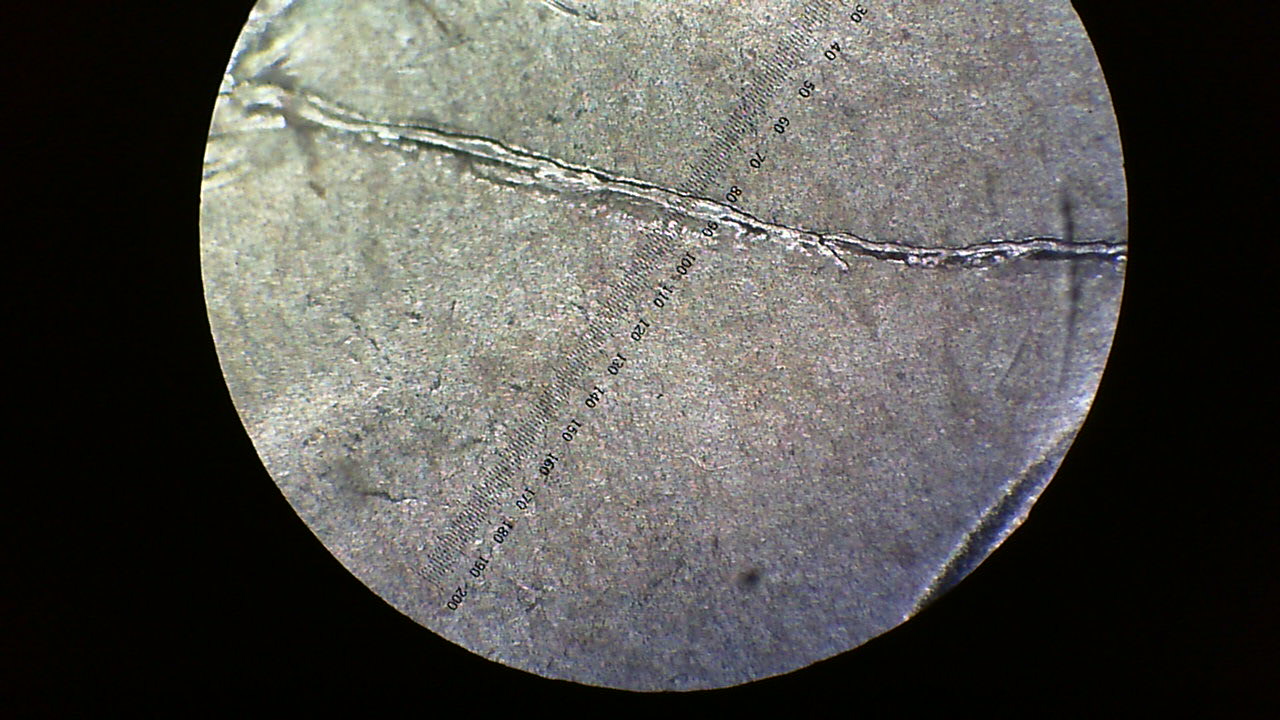 2009-MS-SP-John-Tyler-Dollar-Die-Crack?
