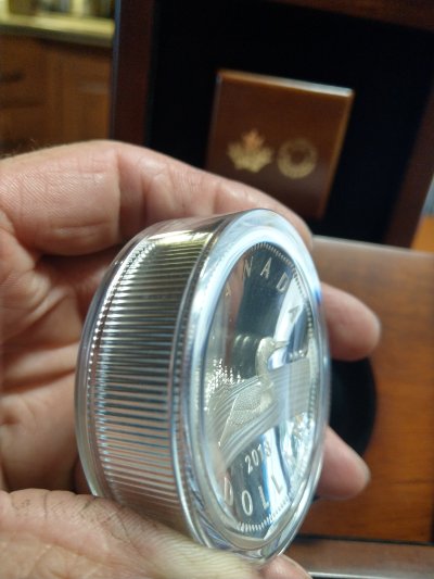 Double-Concave-Silver-Loonie-10oz