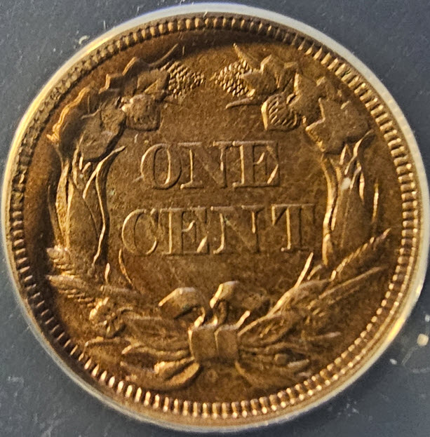 1858-Flying-Eagle-Cent-You-Vs-ANACSYellow-Holder