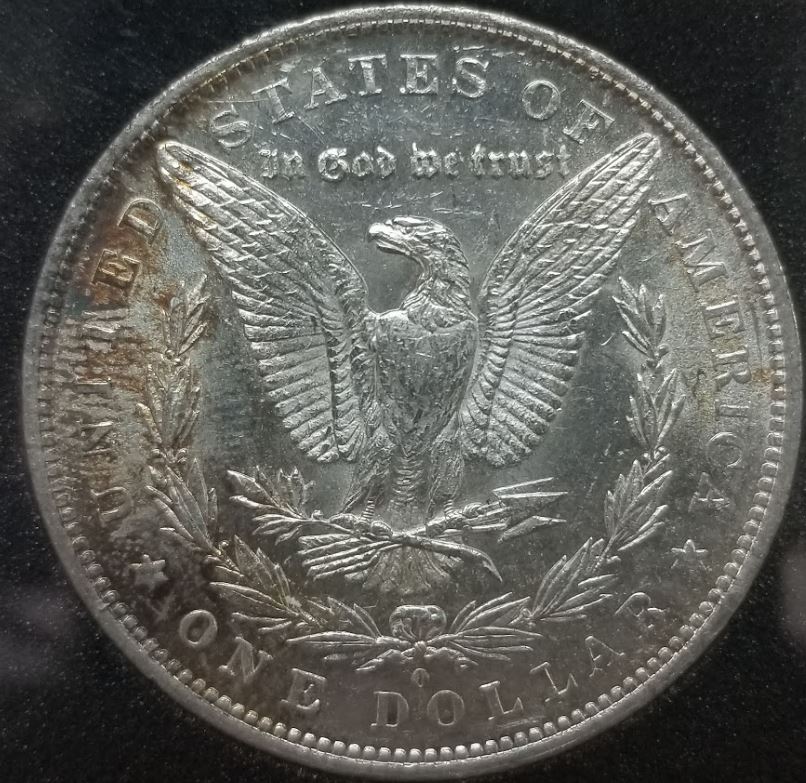 1879-O-Morgan-Dollar-For-Grading