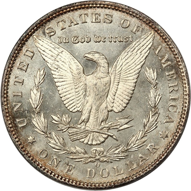 Rare-1893-O-Morgan-For-Grading.-MS?