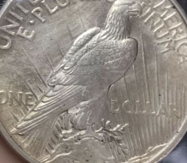 1921-Peace-Dollar.-MS?-Details?