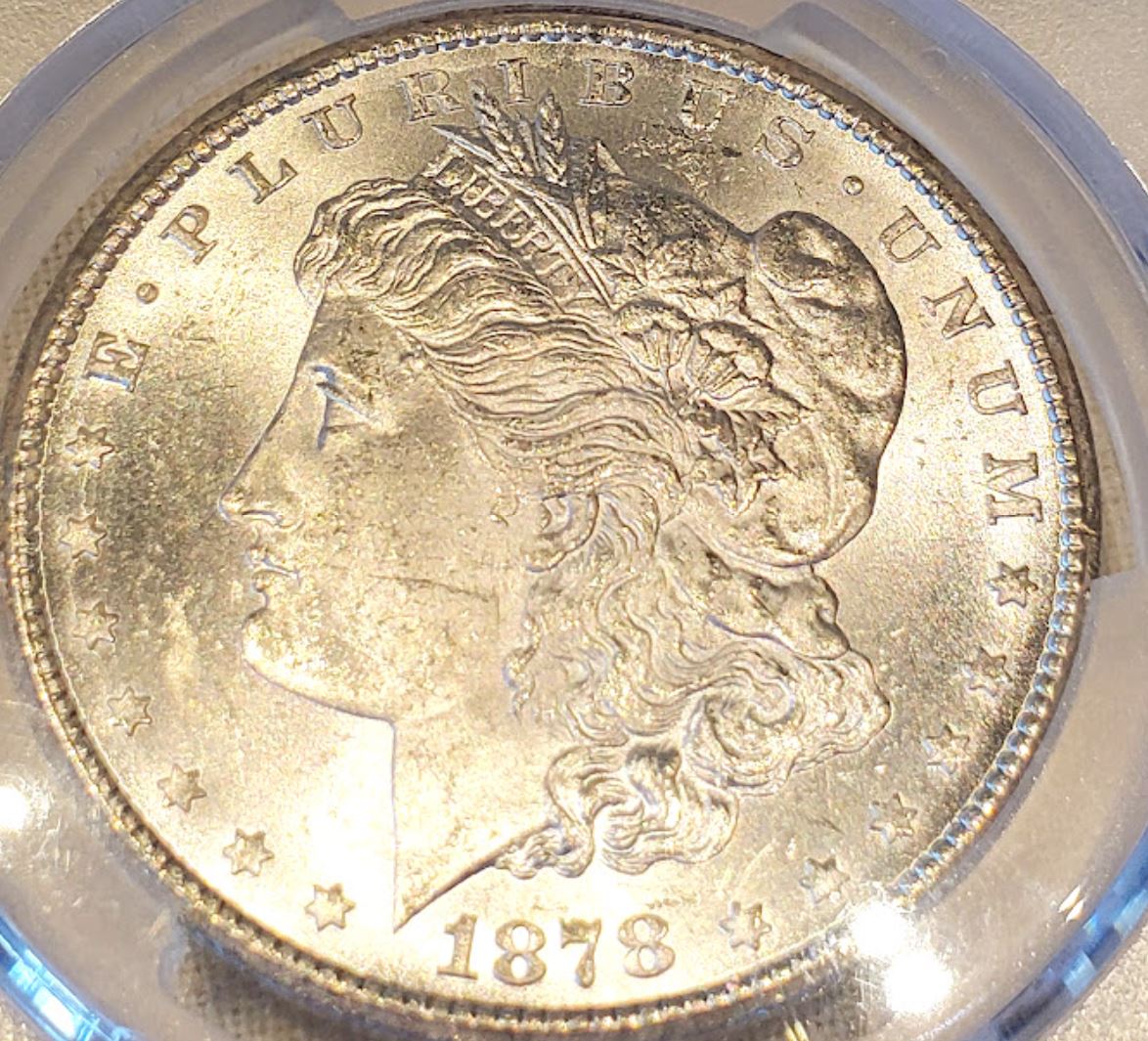 Today's-Acquisition---1878-CC-Morgan