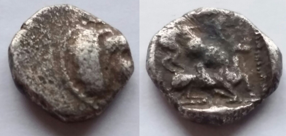 Post-Your-Lion-Coins!