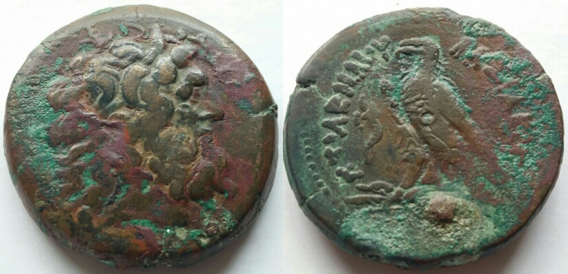 Ptolemy-IV-Ae43-Drachm...-Ye-Olde-Egyptian-Paperweight!