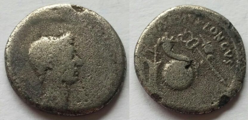 Julius-Caesar---Dict-Perpetvo
