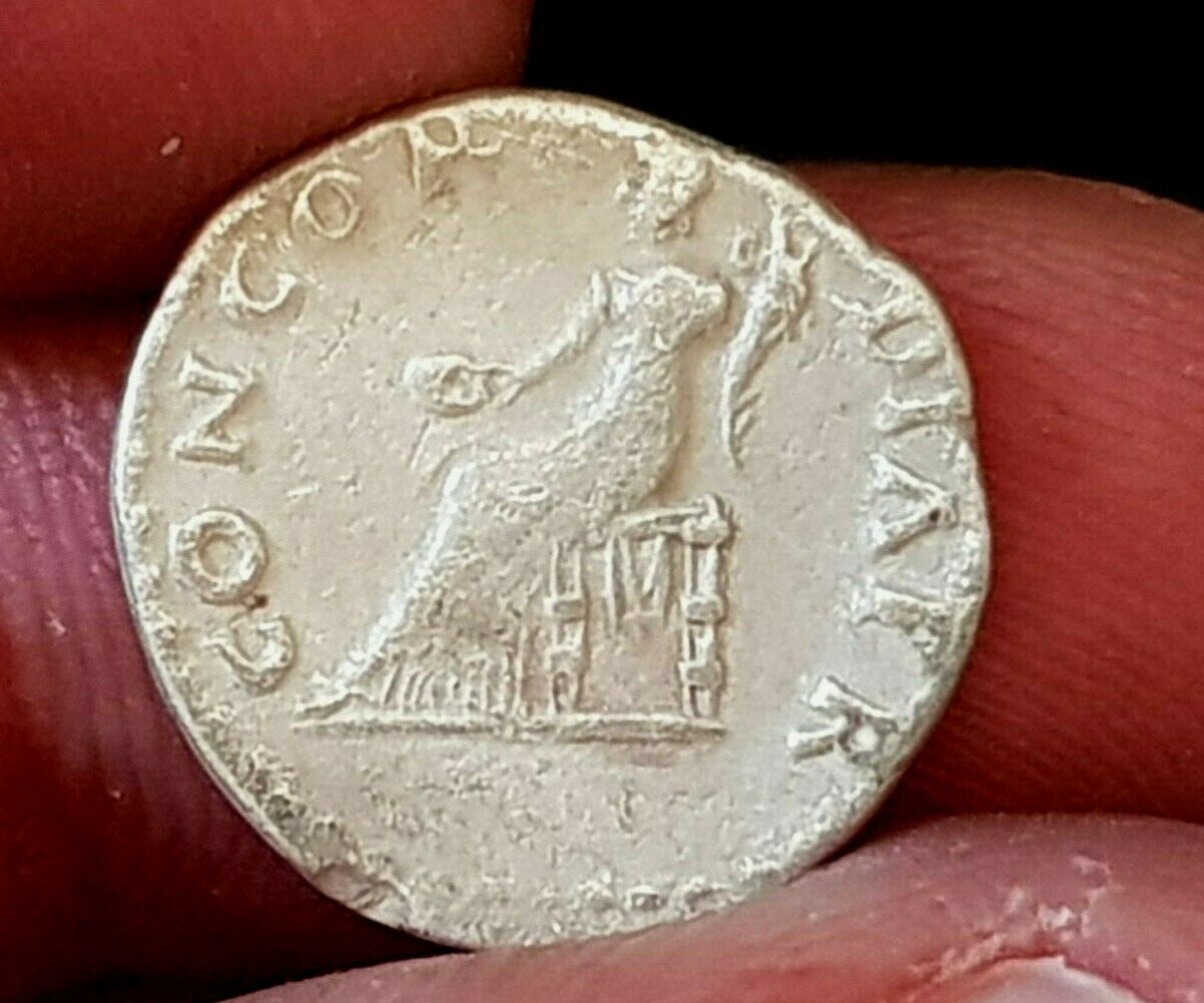 Opinion-Please:-Denarius