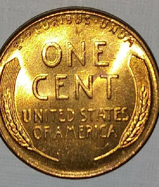 Amazing-Find-1958-Wheat-Cent-Half-Roll