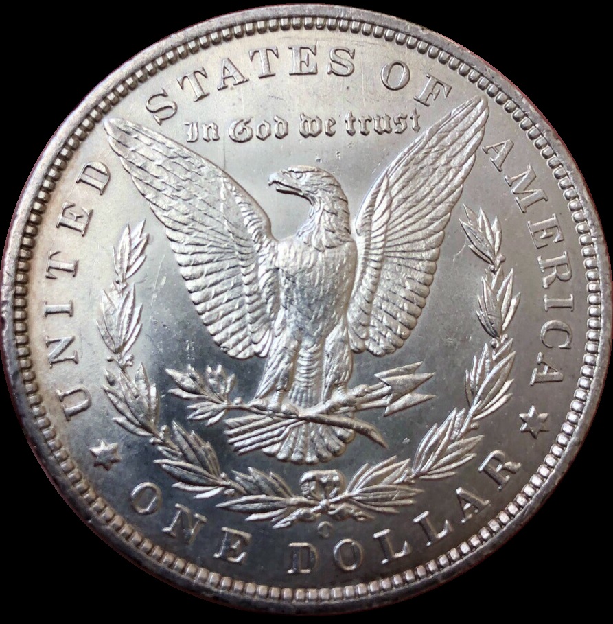 1899-Dollar---Is-This-A-Deal?