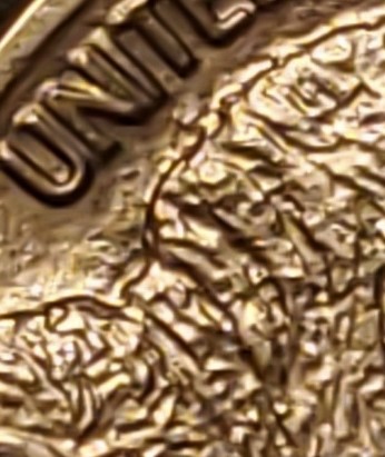 1913-P-Buffalo-Nickel-For-Grading