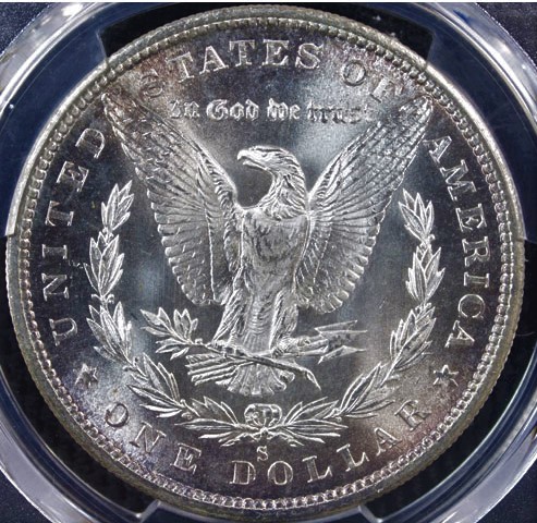 1880-S-Morgan-Dollar---For-Grading-Fun