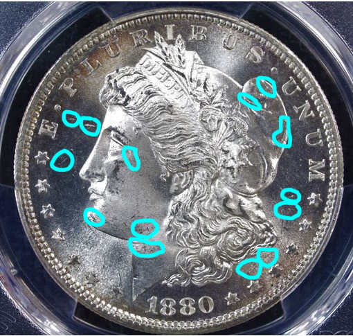 1880-S-Morgan-Dollar---For-Grading-Fun