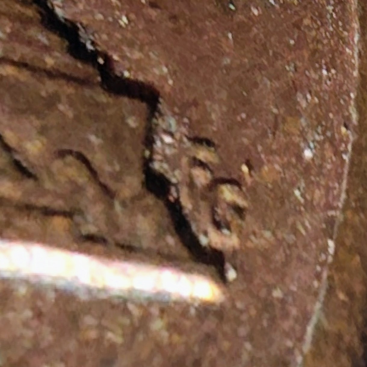 1988-D-Penny-Doubling-The-Money