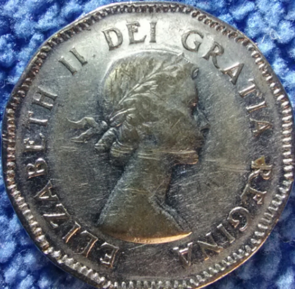 Are-These-53-NSF-Worth-Grading?
