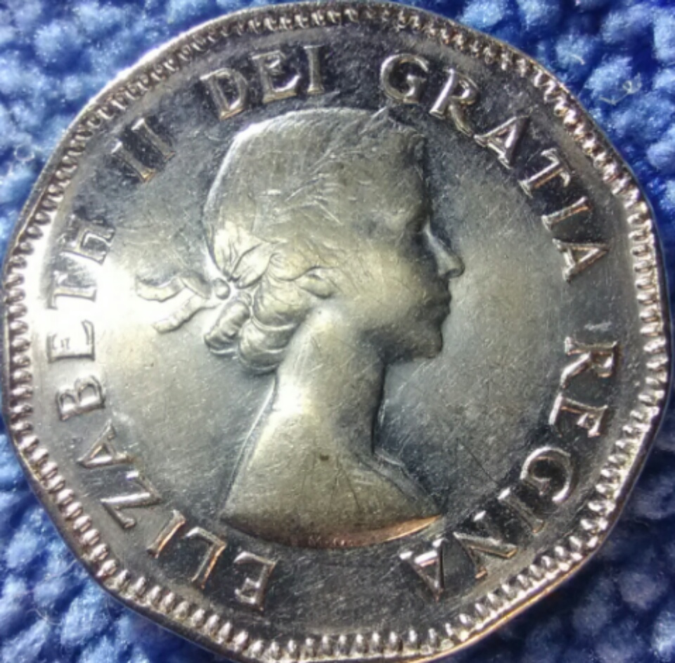 Are-These-53-NSF-Worth-Grading?