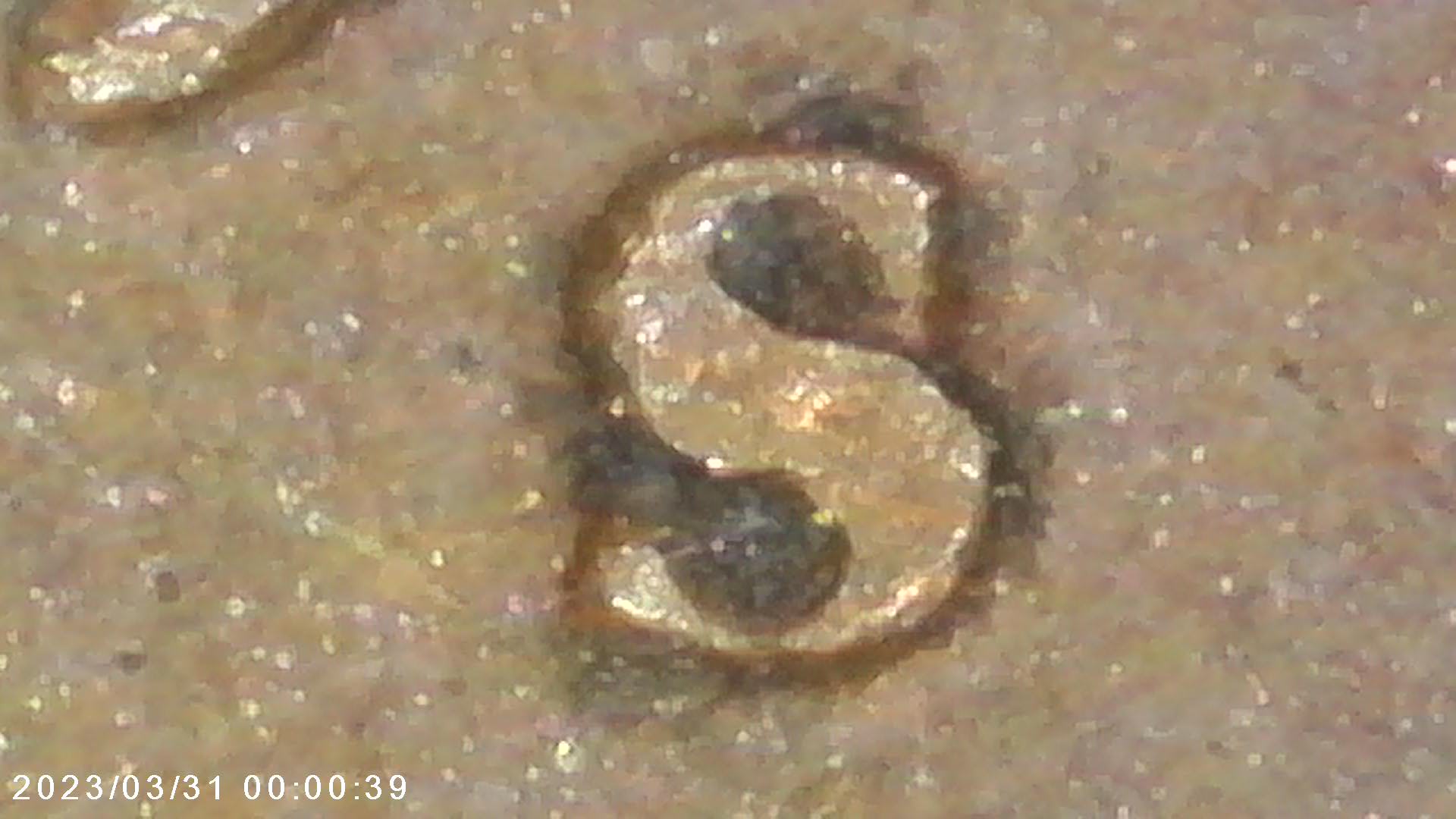 1946-S-Lincoln-Cent---Inverted-MM