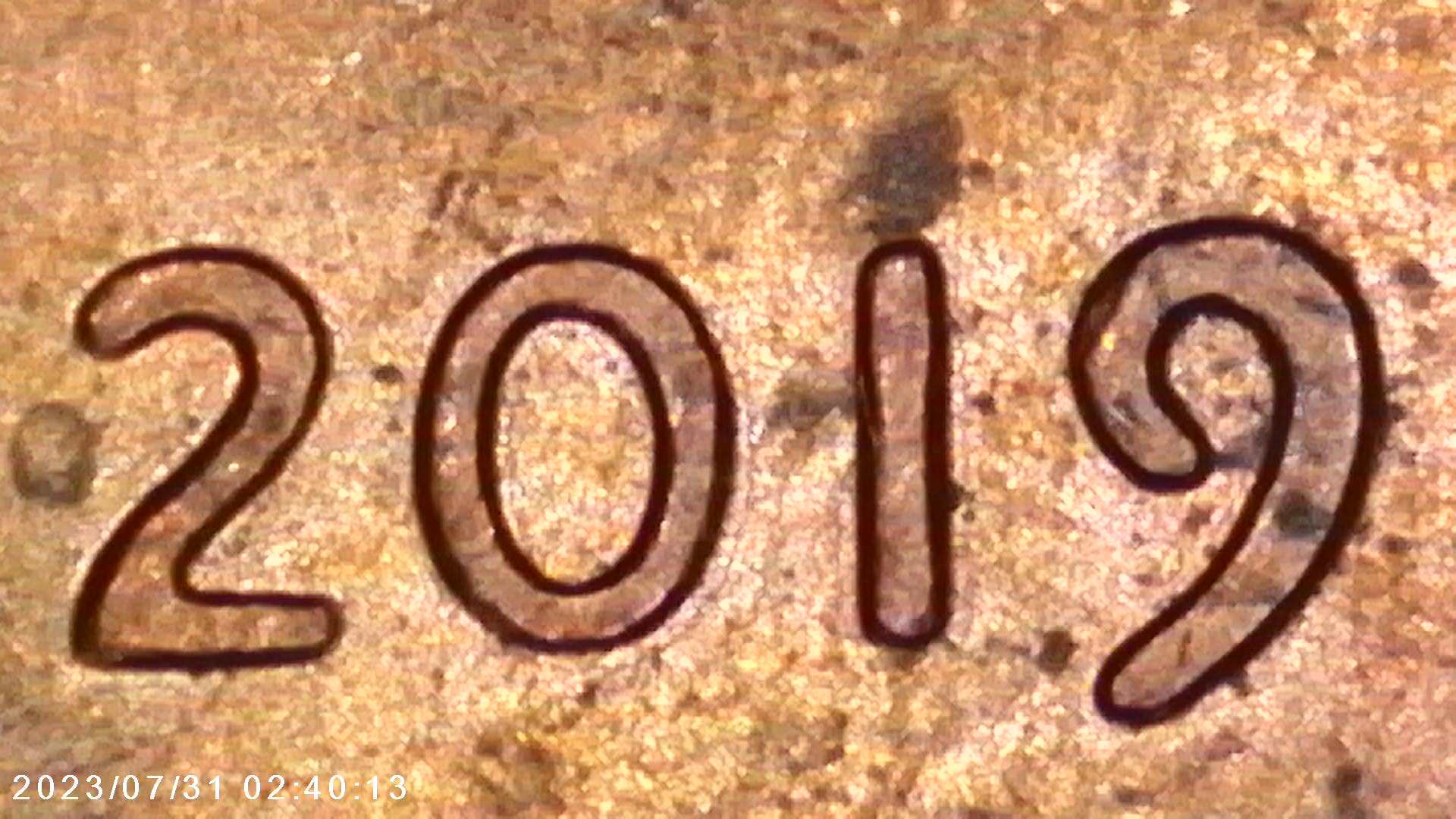 2019-LSC-WDDO---009-?