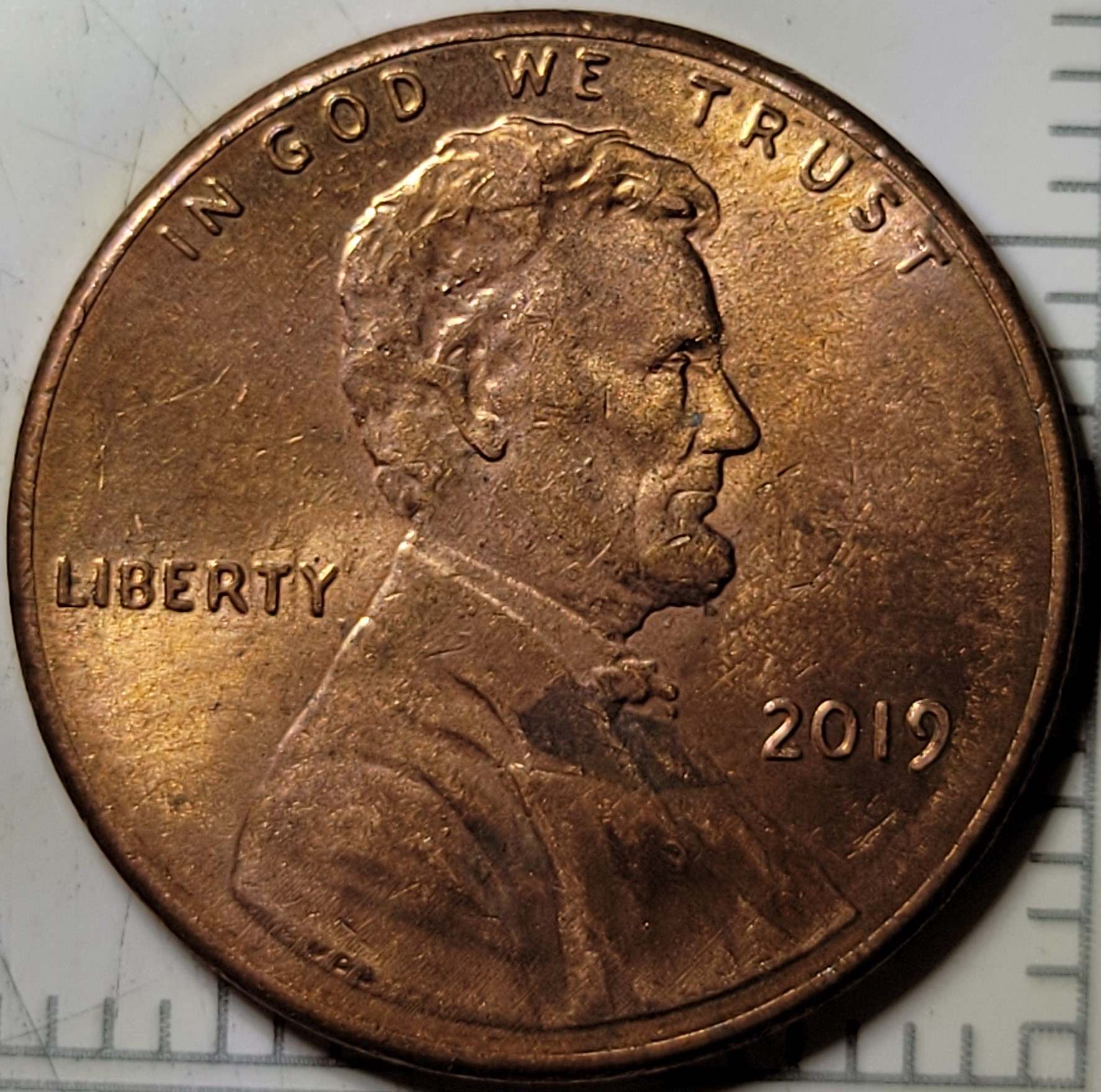 2019-LSC-WDDO---009-?