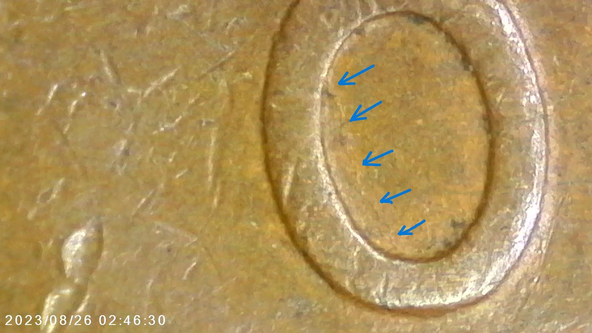 1910-S-LWC-1910-S-1MM-003-RPM