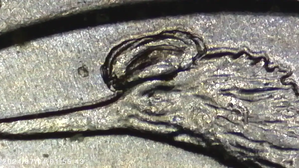 2014-P-Washington-Quarter---Fun-Die-Chip