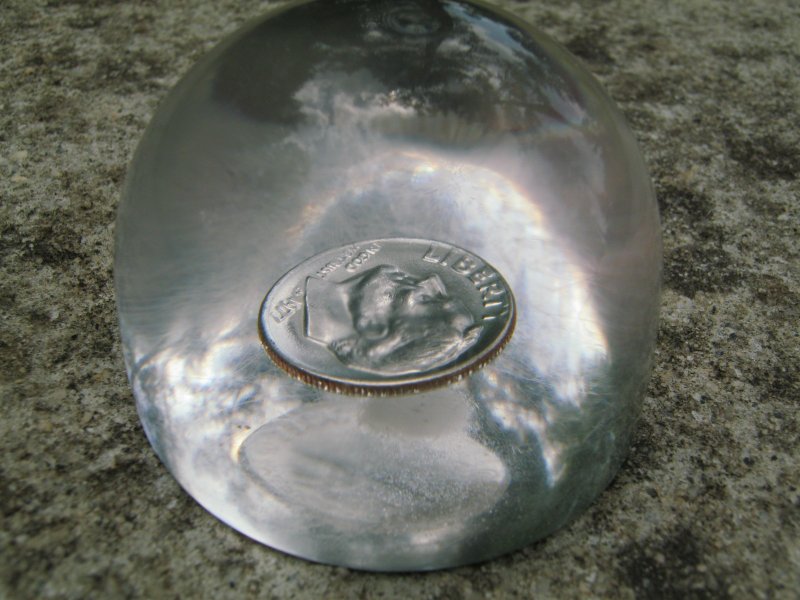 Encased-Coins
